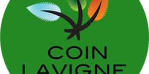 Coin Lavigne